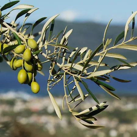 Lejlighed Villelia View 2 *